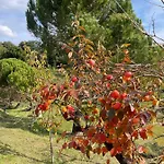 Canale - Panoramico - Free Parking - Stunning View דירה