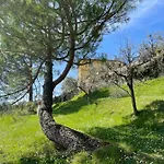 Canale - Panoramico - Free Parking - Stunning View דירה סינאלונגה