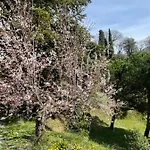 Canale - Panoramico - Free Parking - Stunning View