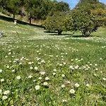 Canale - Panoramico - Free Parking - Stunning View * סינאלונגה