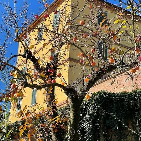 Canale - Panoramico - Free Parking - Stunning View