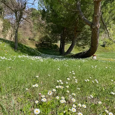 Appartamento Panoramico Canale - Private Parking - Natural Park *