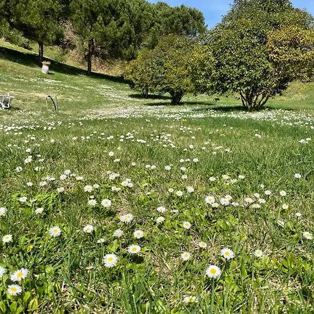 Panoramico Canale - Private Parking - Natural Park * Sinalunga