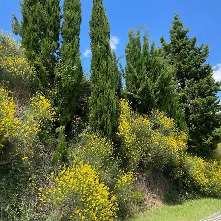 Panoramico Canale - Private Parking - Natural Park