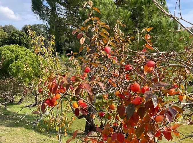 Canale - Panoramico - Free Parking - Stunning View Appartamento