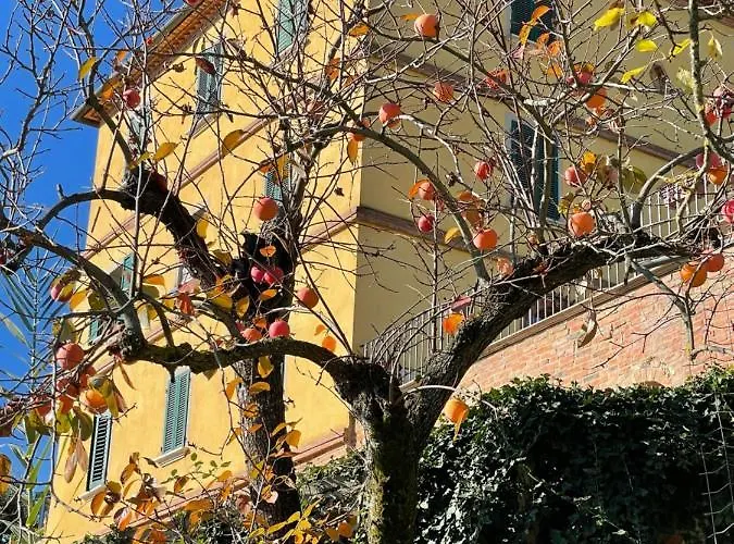 Canale - Panoramico - Free Parking - Stunning View