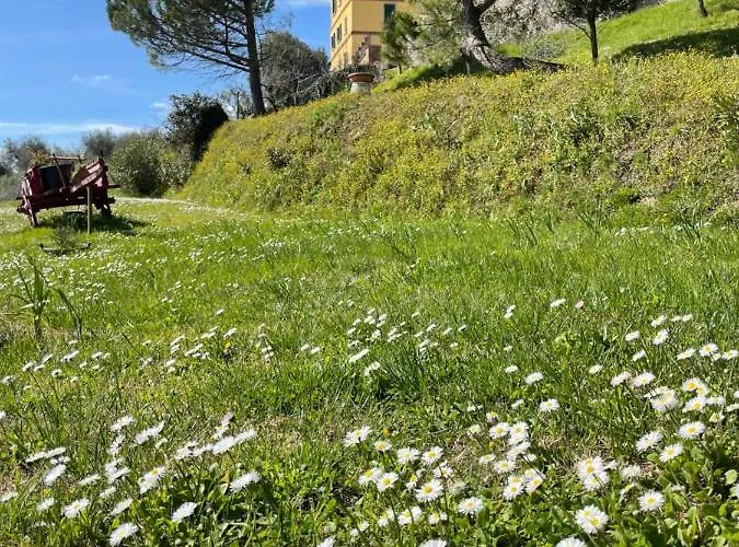 Canale - Panoramico - Free Parking - Stunning View Appartamento