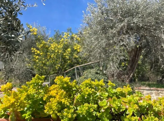 Canale - Panoramico - Free Parking - Stunning View *