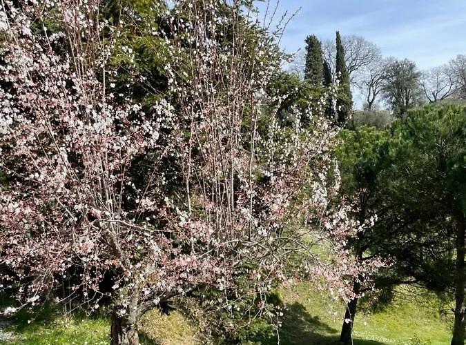 Canale - Panoramico - Free Parking - Stunning View