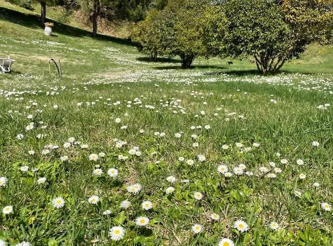 Canale - Panoramico - Free Parking - Stunning View * Sinalunga