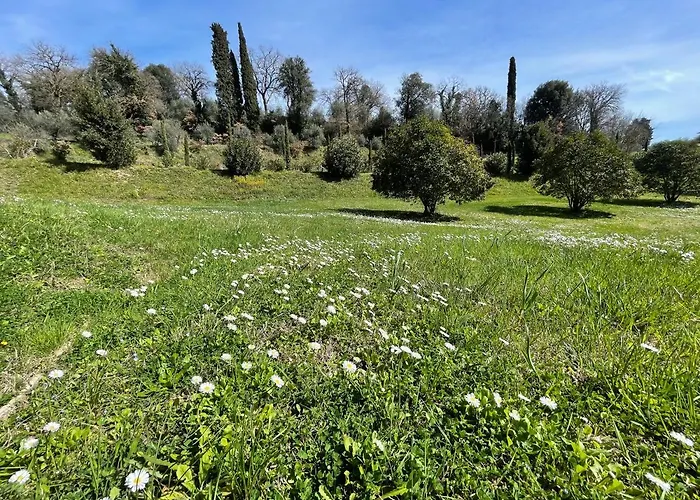Canale - Panoramico - Free Parking - Stunning View Sinalunga