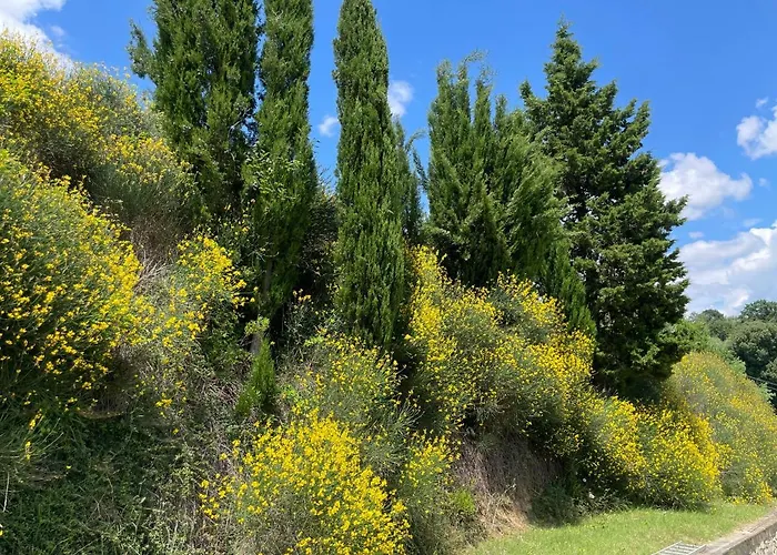 Canale - Panoramico - Free Parking - Stunning View
