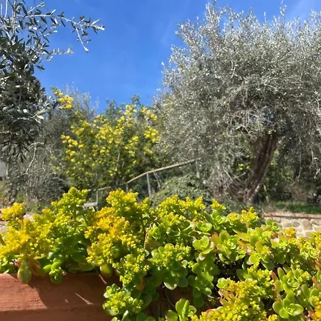 Panoramico Canale - Private Parking - Natural Park *